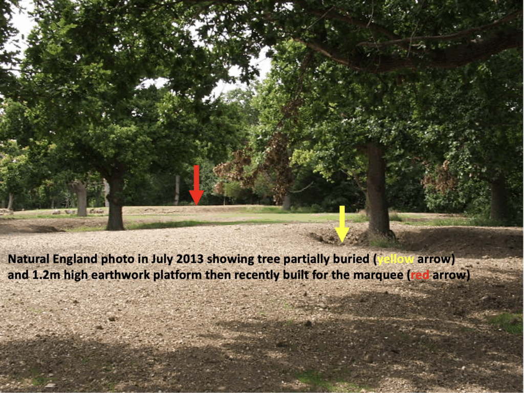Platform and buried tree looking NW