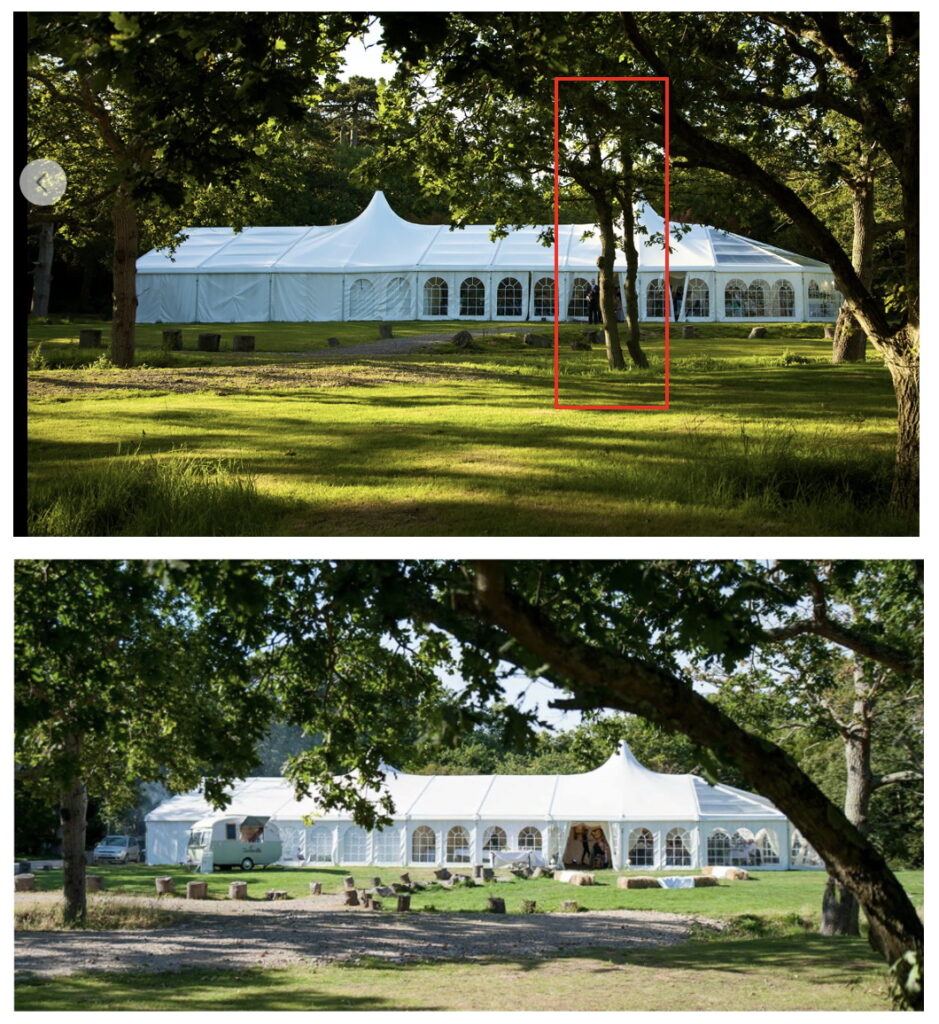 Tournerbury Tree 2 removed